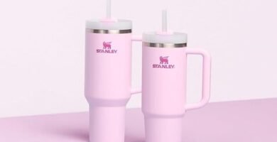 Opinión sobre el Stanley Quencher H2.0 Tumbler with Handle and Straw 30 oz: Vaso térmico de 30 oz en color cereza 14 Stanley Quencher H2.0 Tumbler with Handle and Straw 30 oz