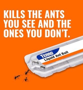 TERRO Ant Killer Bait Stations T300B
