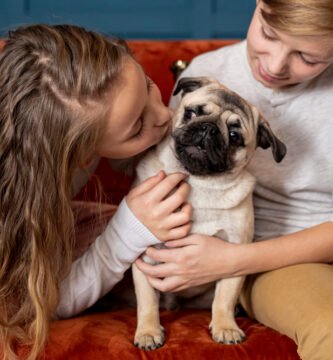 El Negocio de la Mascota