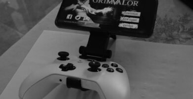 photo 1663547082532 8b11c1238e1d