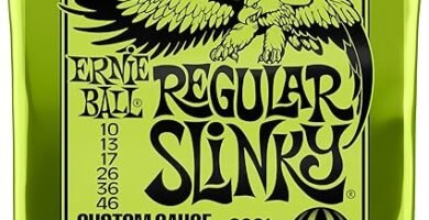 Ernie Ball Regular Slinky 44 178 Ernie Ball Regular Slinky file