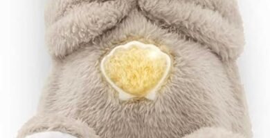 196 Fisher Price Nutria file