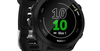 204 Garmin Forerunner 55 file