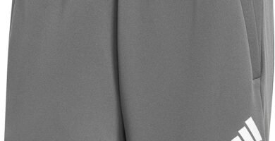 404 adidas Train Essentials All Set Training Shorts file