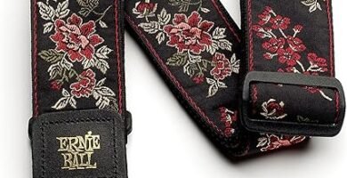 Ernie Ball 75 62 Ernie Ball file