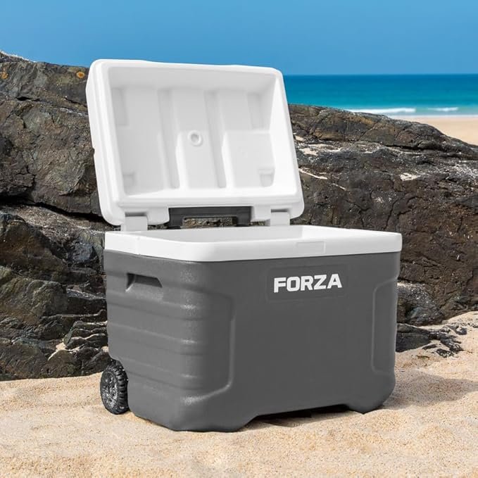 732 FORZA IceGuard file