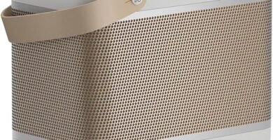 altavoces bang olufsen 30 880 altavoces bang olufsen file