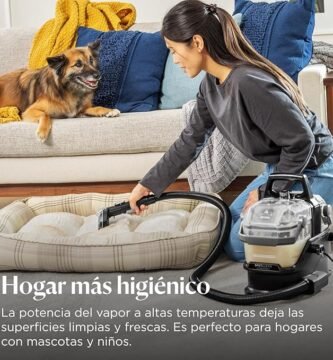 923 aspiradora de sofa con agua file