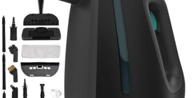 926 Cecotec Vaporeta Limpieza Hogar file